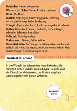 Moses Expedition Natur 50 Heimische Blumen -Kinderspielzeug Laden 211 9717 b 600x600