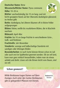 Moses Expedition Natur 50 Heimische Garten- & Feldpflanzen -Kinderspielzeug Laden 211 9779 b 600x600