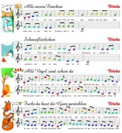 Triola Von Seydel Melodica Oder Blas-Harmonika -Kinderspielzeug Laden 319 70120 b 600x600